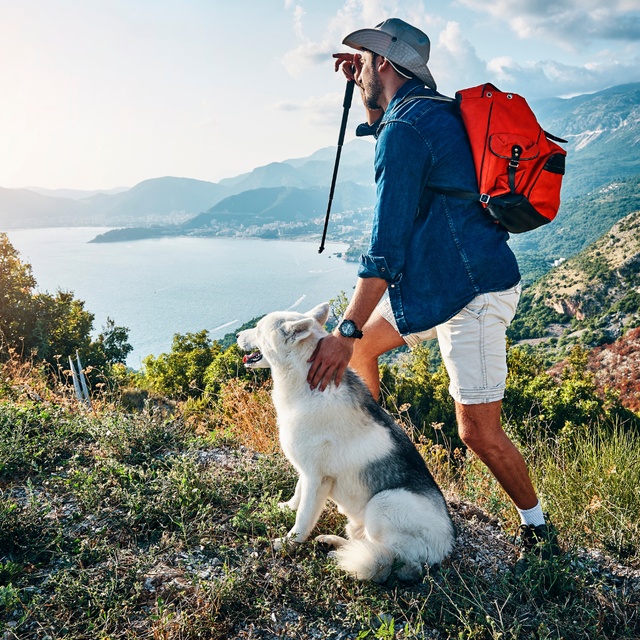 cp-enquete-sport-animal-printemps