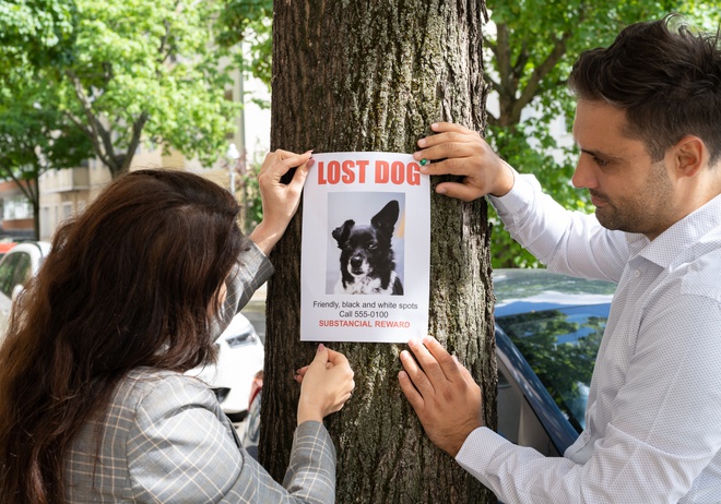 How to Create a Pet Profile, Lost Pet Post, or Lost Pet Flyer