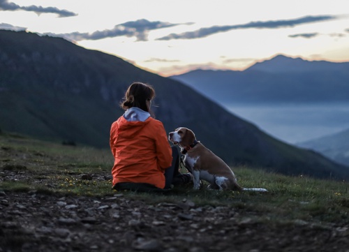 Weenect - GPS voor honden en katten