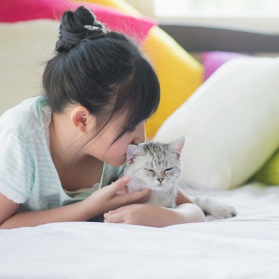 Un american shorthair dans les bras de sa propriétaire