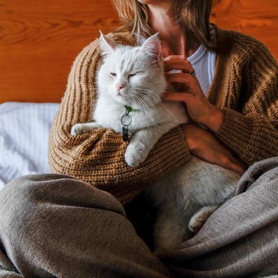 Eine Türkisch Angora wird in die Arme ihres Besitzers gekuschelt