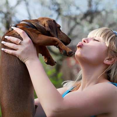 A human raising a basset hound in his hands.