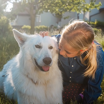 White german best sale shepherd training