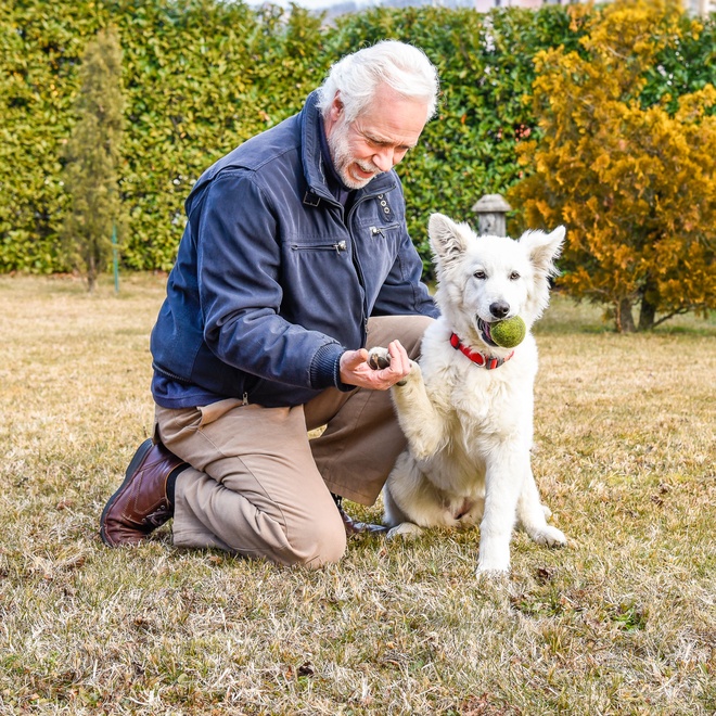 A White Swiss Shepherd sitting with his owner