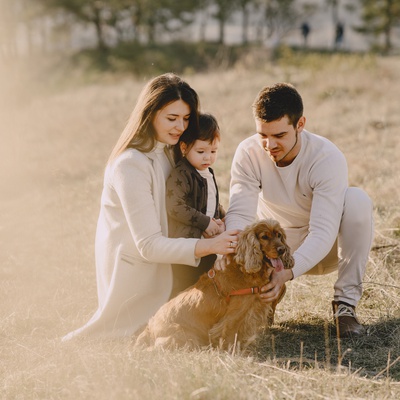 A Cocker spaniel surrounded by his family