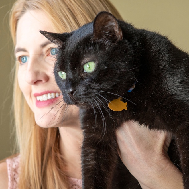A bombay in the arms of his owner