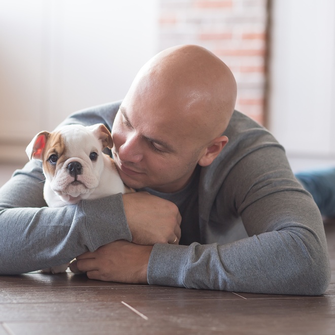 An English bulldog cuddling with his owner