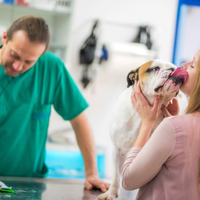 un bulldog chez le vétérinaire avec sa propriétaire
