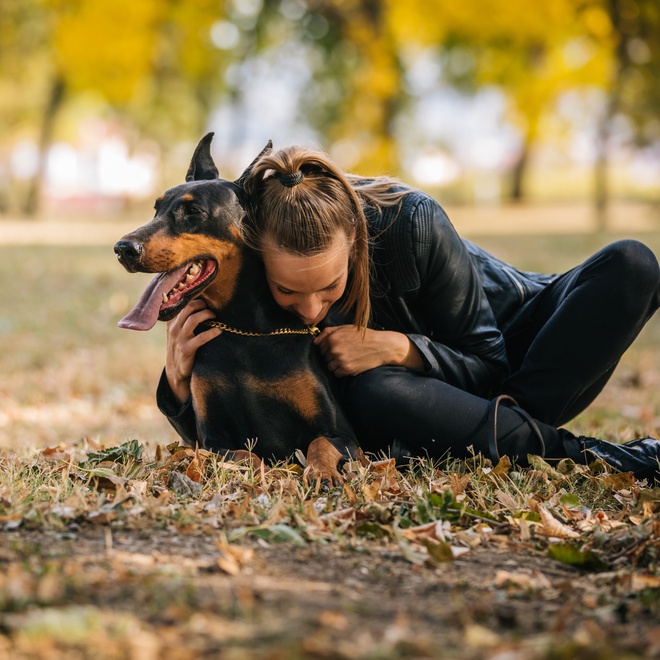 A human embracing a Doberman in a forest.