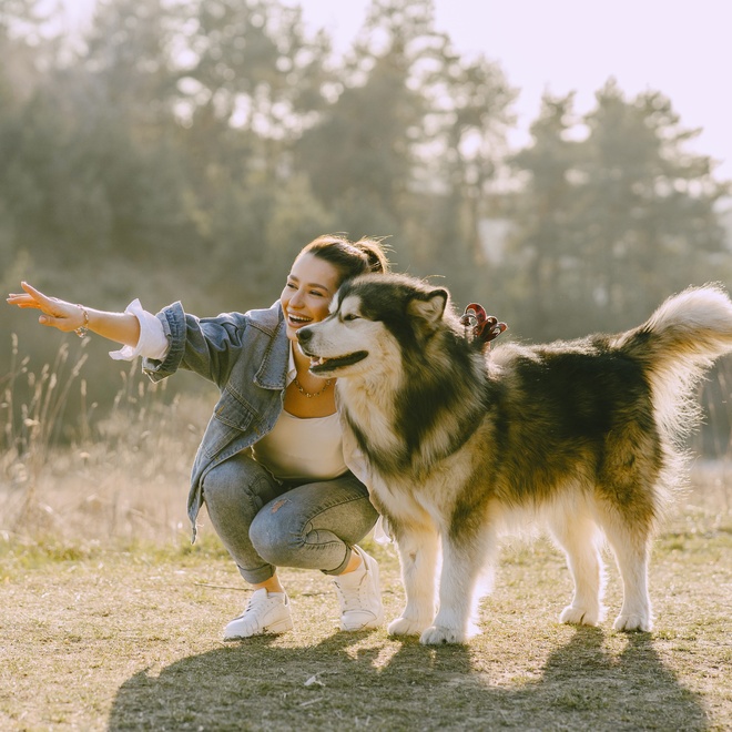 un husky pres de sa propriétaire qui lui montre quelque chose au loin