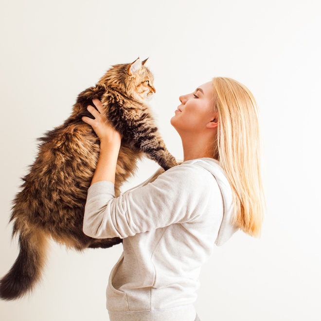 A lady carrying a Siberian in her arms