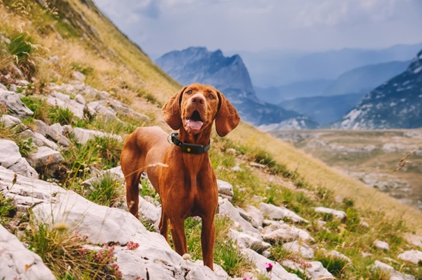 business awards cover