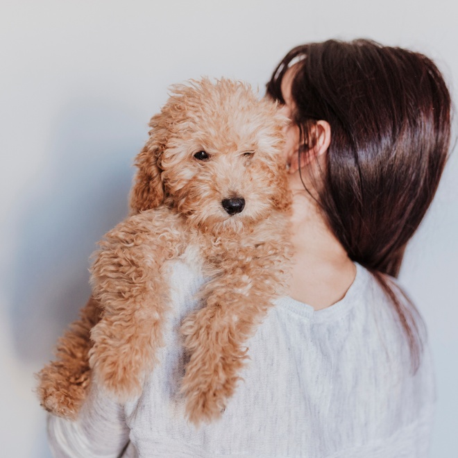Owner hugging poodle