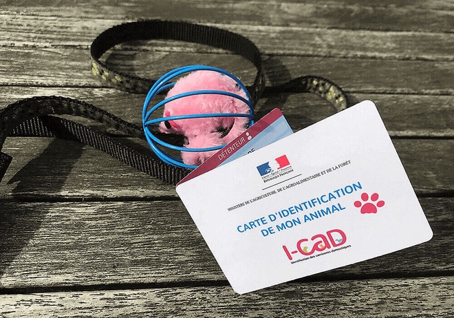 Carte d'identification émise par l'I-CAD