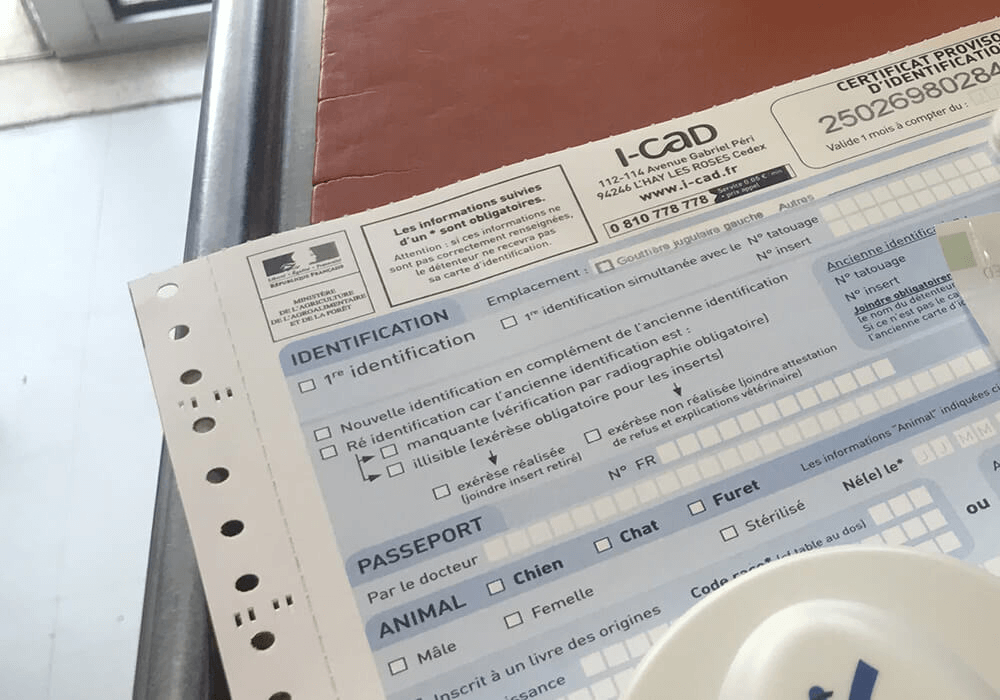 Exemple d’un certificat provisoire de l’i-CAD