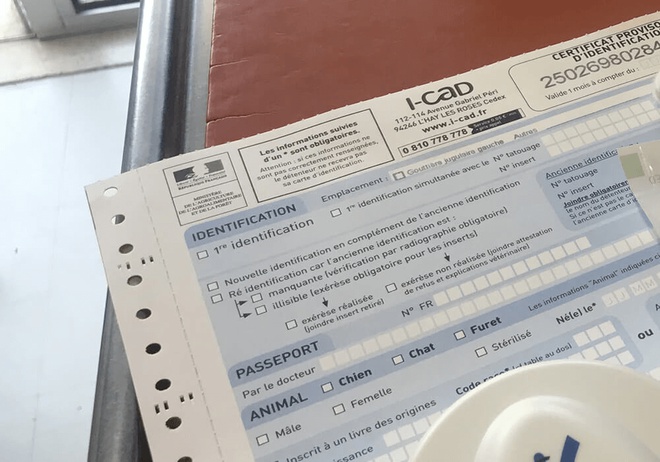 Exemple d’un certificat provisoire de l’i-CAD