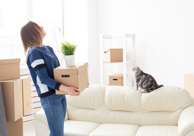 Un chat et une femme en plein déménagement