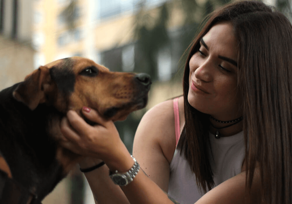Une femme et un chien adulte font connaissance