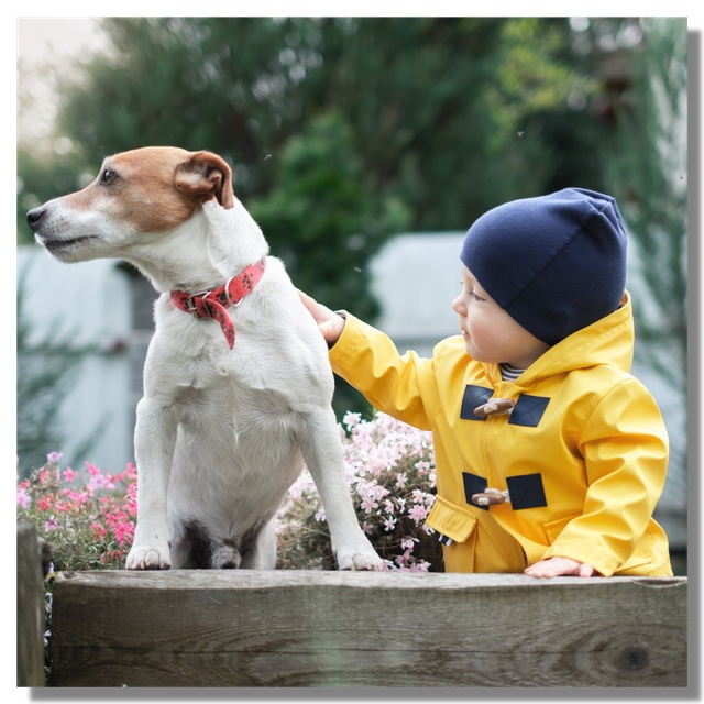 Ein Hund und ein Kind
