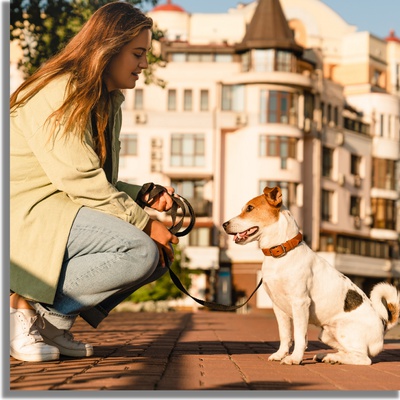 Un chien et sa maitresse face à face