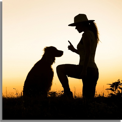 Un chien et son dresseur