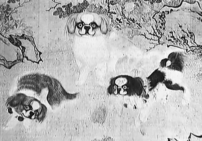 Lithographie chinoise des chiens Happa