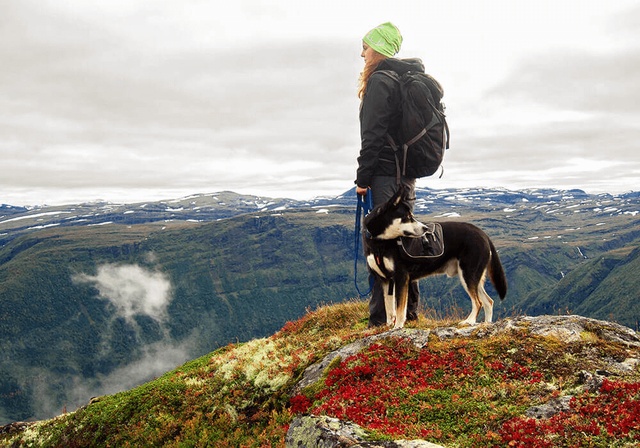 Un chien et sa maîtresse à la montagne