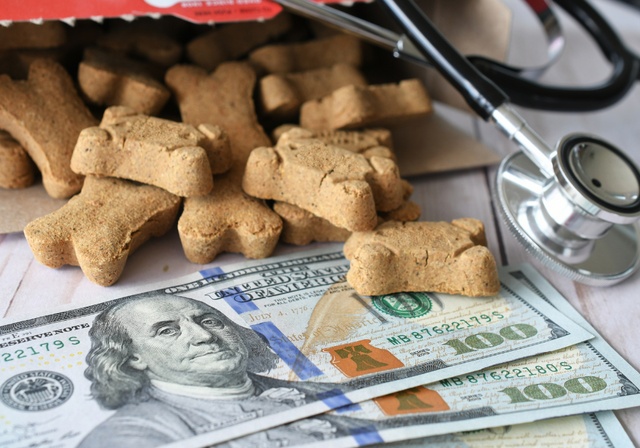 The cost of a veterinary consultation