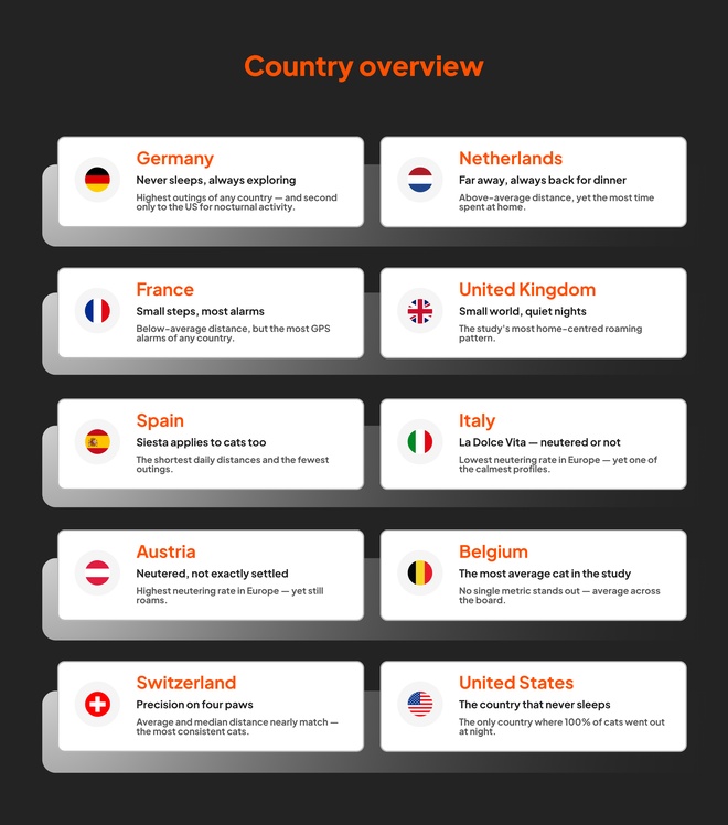 country overview