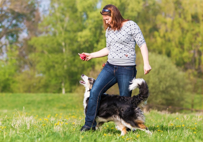 Le buone risoluzioni di ritorno dalle vacanze… e gli sport da fare con il  nostro cane