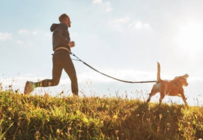 cp-sport_avec_son_animal-principal