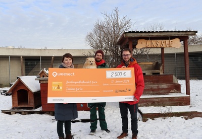 cp-tierheim-berlin_principal