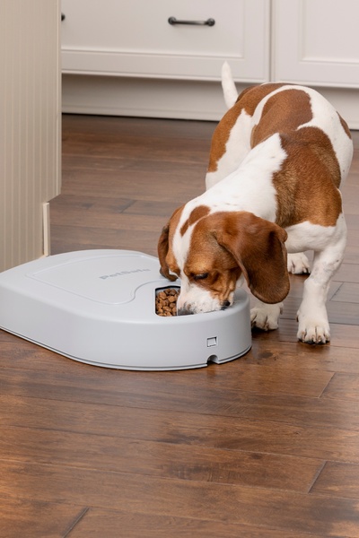 distributeur de croquettes 5 repas