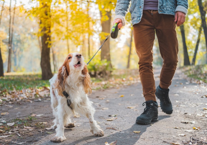 dog barking on walk