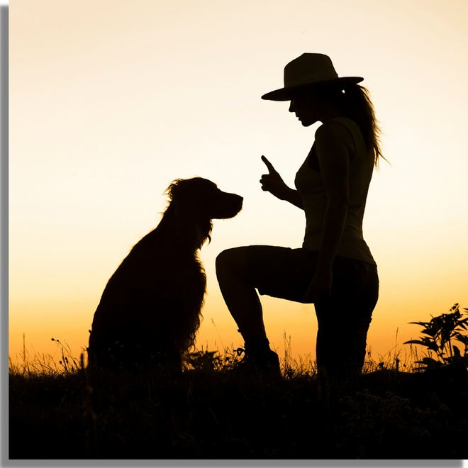 A dog and his trainer