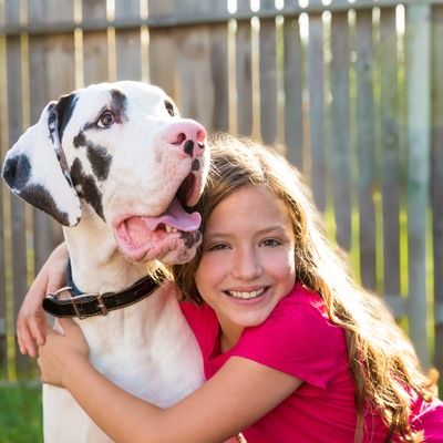 a Great Dane hugged by a person