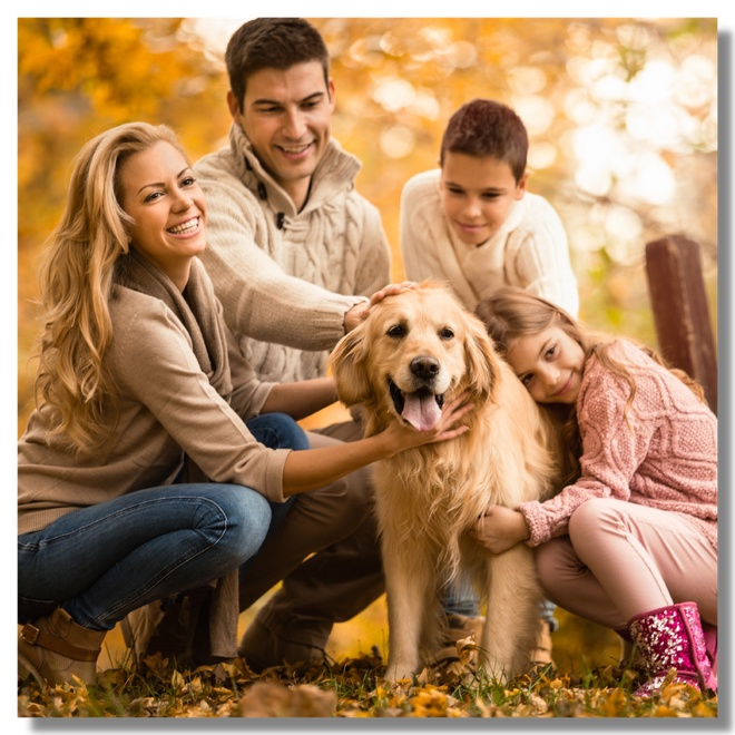 A family with their dog