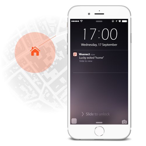 Funzione di zona sicura dei GPS per cani