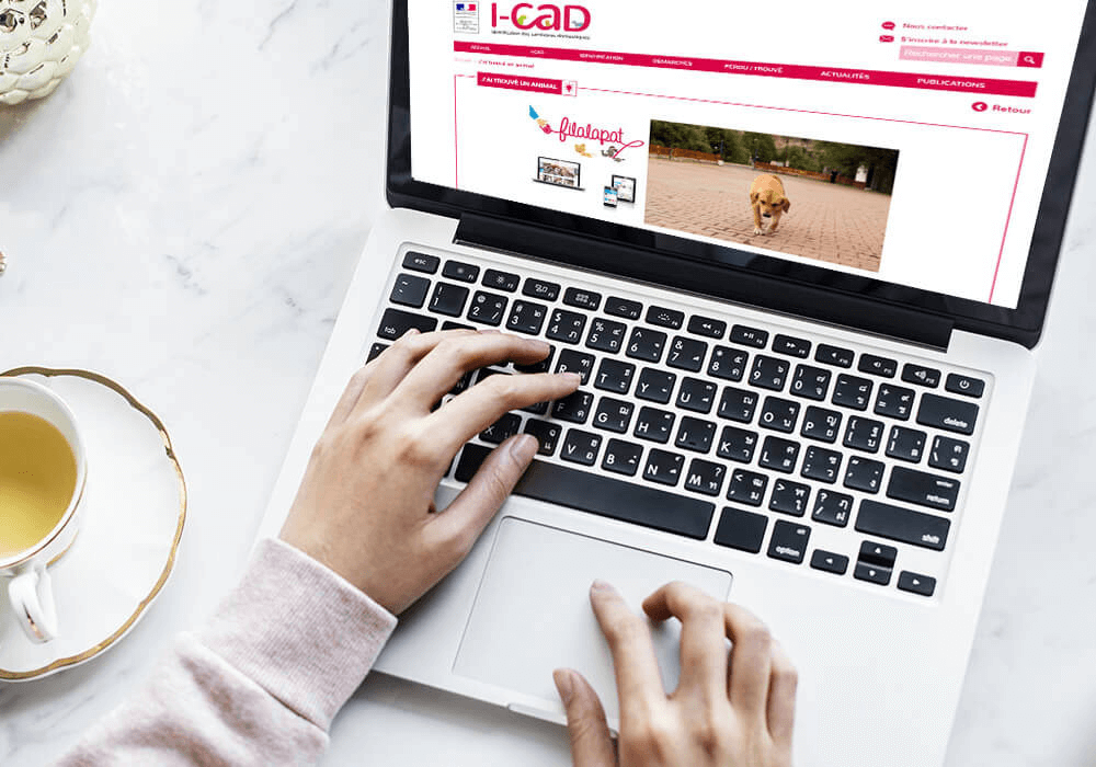 Consultation du site i-CAD sur un ordinateur portable