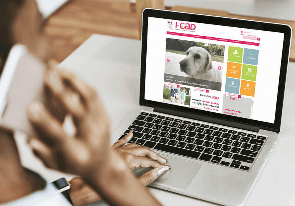 Femme accédant au site internet de l'I-CAD depuis un ordinateur