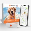 Collier GPS Weenect XS pour chien, avec boîte produit et aperçu de l'application mobile de suivi