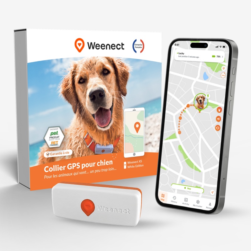 Collier GPS Weenect XS pour chien, avec boîte produit et aperçu de l'application mobile de suivi