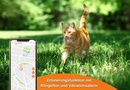 galery cats weenect xs 05 white de
