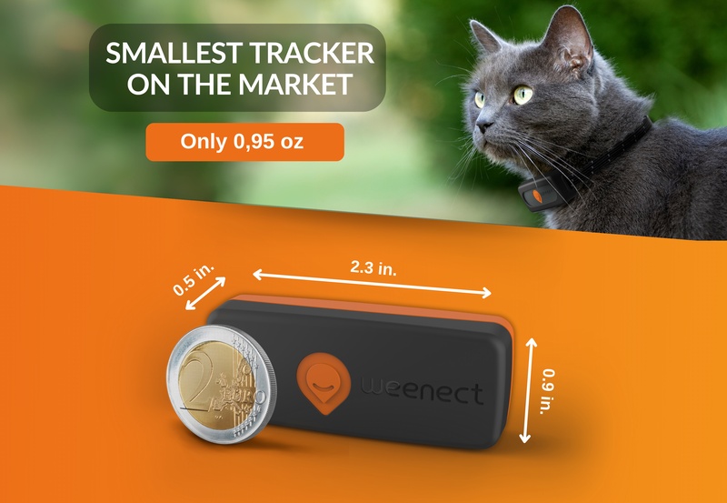 galery cats weenect xs 02 black us