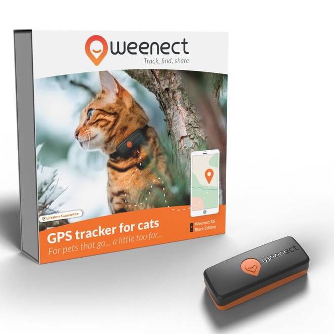 galery cats weenect xs main black UK
