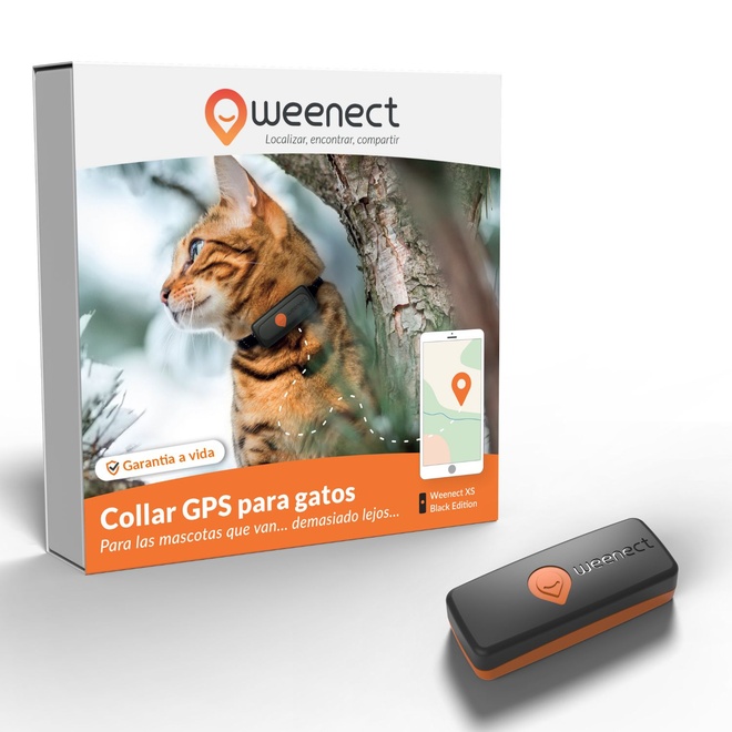 galery cats weenect xs main black es