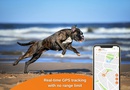 galery dogs weenect xs 04 black uk