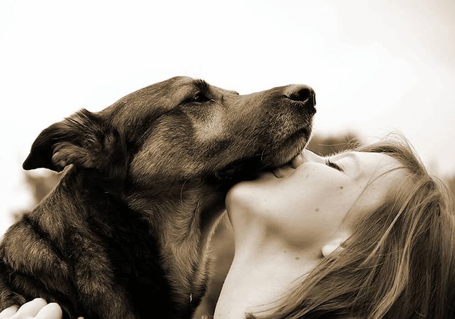 Moment de complicité entre une femme et un chien