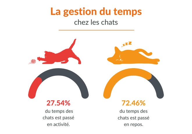 Schéma illustant les données chiffrées du paragraphe précédent
