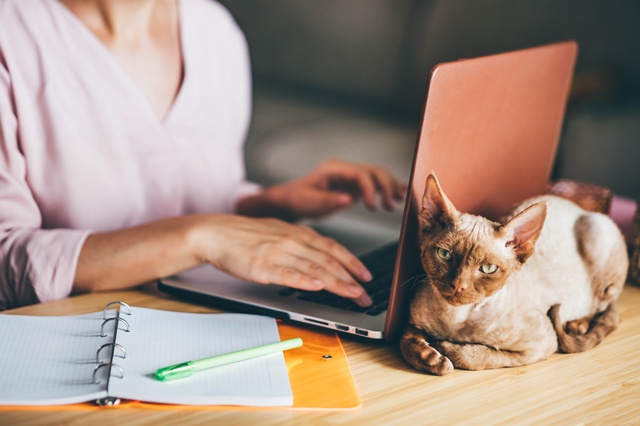 woman using computer with her cat